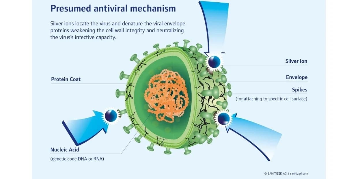 Diagram: silver ions attach to a virus and break down its envelope proteins