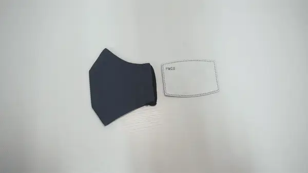 Animation: inserting a filter into the filter pocket